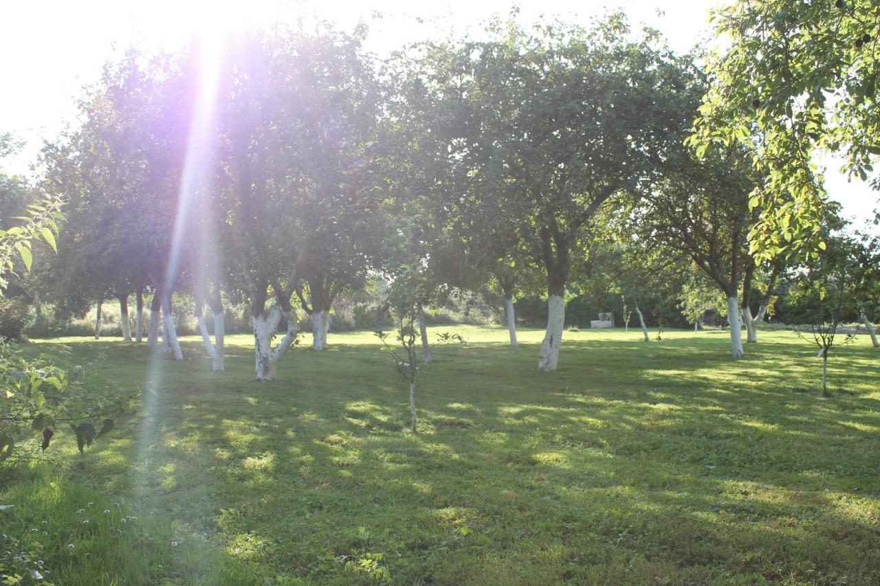 Chambre D'Hotes Le Domaine De La Vallee 圣马丁德万 外观 照片